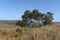 Altai foothills. The expanses of the Chineti reserve. Western Siberia.