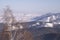 Altai foothills in winter with birch