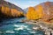 Altai Krai, mountains, autumn trees on the banks of the turquoise river