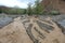 Altai mountain rapid muddy river