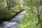 Altai mountain river in forest