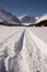 Altai mountain winter and trees