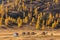 Altai mountains. Beautiful highland autumn panoramic landscape. Wooden huts in the foreground. Mountain slopes covered with golden