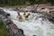 Altai Republic.. Extreme rafting on the Bashkaus River