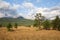 Altai snow mountain and steppe forest