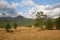 Altai snow mountain and steppe forest