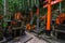 Altars with various sizes of Torii gates at Fushimi Inari temple in Kyoto, Japan