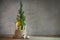 Alternative Advent wreath, one candle lit with a flame on a small conifer plant as Christmas tree symbol, large copy space