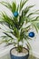 Alternative Christmas tree palm plant with Christmas baubles for the festive season in summer for the Southern Hemisphere