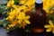 Alternative healing Yellow flowers of Hypericum, used in homeopathic remedies