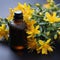 Alternative healing Yellow flowers of Hypericum, used in homeopathic remedies