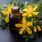 Alternative healing Yellow flowers of Hypericum, used in homeopathic remedies