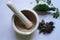 Alternative health care fresh herbal plant and herbal pill in Erlenmeyer flask with mortar and pestle.