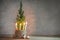 Alternative second Advent wreath, four candle lit with a flame on a small conifer plant as Christmas tree symbol, large copy space