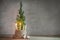 Alternative second Advent wreath, two candle lit with a flame on a small conifer plant as Christmas tree symbol, large copy space