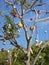 Alternative tropical christmas tree with fishing floats and fenders before blue sky