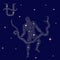 Alternative Zodiac sign Ophiuchus on the starry sky