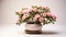 Althea Shrub plant on a pot on white background