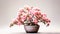 Althea Shrub plant on a pot on white background