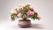 Althea Shrub plant on a pot on white background