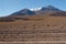 Altiplano Boliviano - an amazing adventure 18