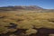 Altiplano in Lauca National Park, Chile