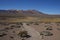 Altiplano in Lauca National Park, Chile