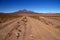 Altiplano Road