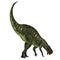 Altirhinus Dinosaur Tail