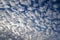 Altocumulus cloud by day.