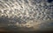 Altocumulus cloud at evening.