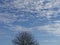 Altocumulus cloud in the sky