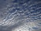 Altocumulus cloud in the sky