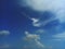 Altocumulus clouds on beautiful blue sky cloudy background