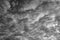 Altocumulus clouds. Black and white