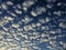 Altocumulus Clouds Line the Dark Blue Sky With Patterns!