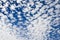 Altocumulus cloudscape on blue blue sky