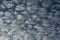 Altocumulus cloudscape on blue sky.