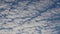 Altocumulus stratiformis perlucidus clouds moving across blue sky in evening