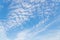 Altocumulus tiny fluffy cloud formation background
