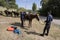 Altyn-Arashan, Kyrgyzstan, August 13 2018: Saddling the horses for a horse trek