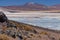 Alues Calientes salt flats - Atacama Desert in Chile