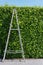 Aluminum ladder with wall green