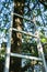 Aluminum staircase stands near a tree trunk, in a garden, on a spring day.