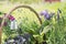 Aluminum watering can in Lavender garden