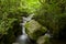 Alva Glen is a spectacular gorge in Scotland.