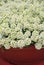 Alyssum flowers. Alyssum in sweet colors. Alyssum in a red brown pot on wood table