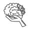 Alzheimer disease, hand with brain decrease in mental human ability line style icon