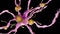 A alzheimer nerve cell