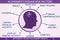 Alzheimer\\\'s Disease Risk Factors Infographic Vector Illustration